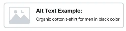 Add Alt Text for SEO & Accessibility